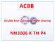 NN3006 Κ TN P4 διπλό ρουλεμάν κυλίνδρων υπόλοιπου κόσμου κυλινδρικό